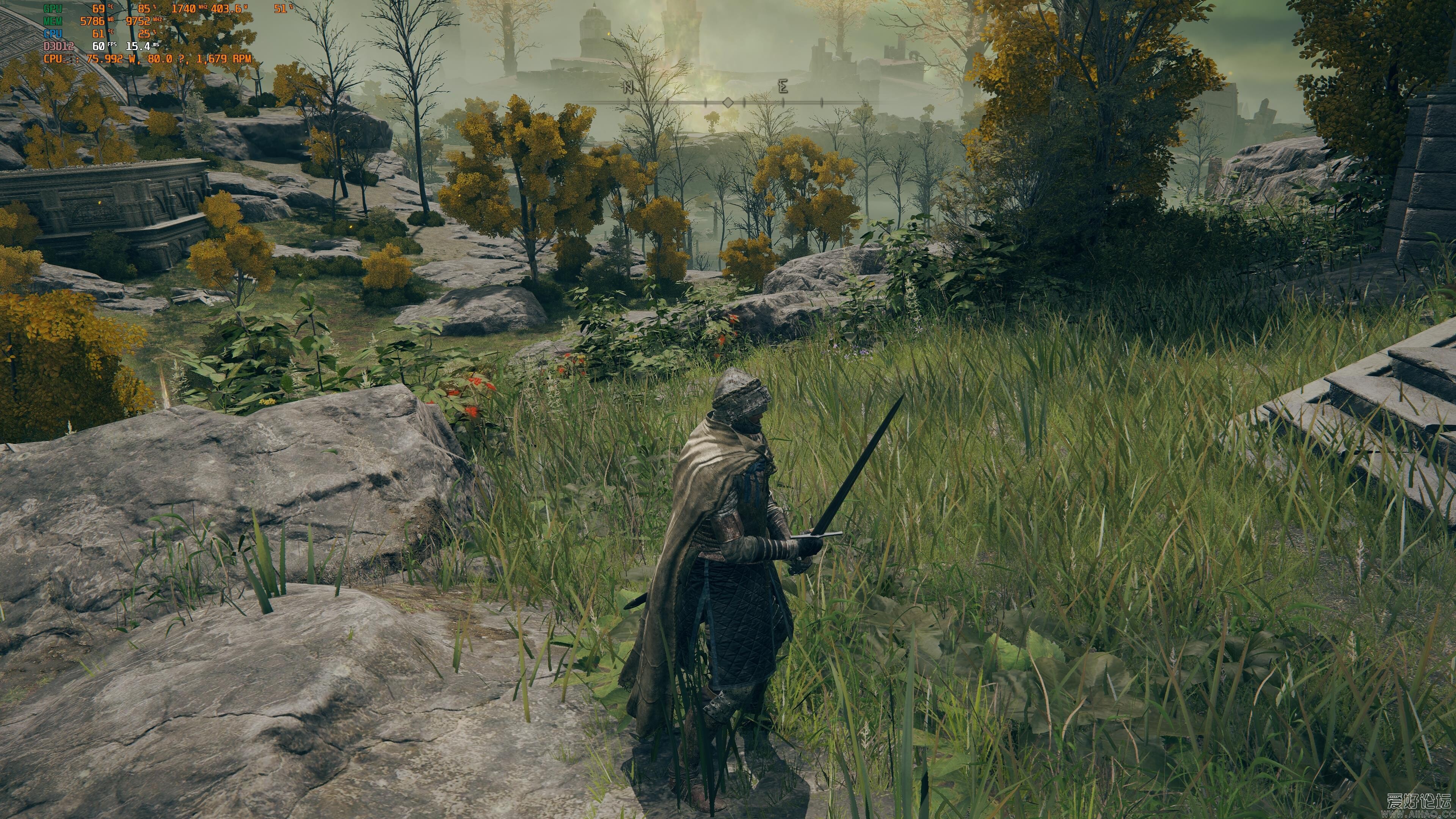 d2.jpg